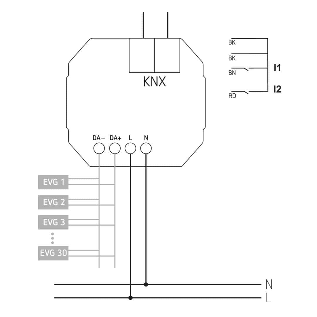 Theben 4800580 LUXORliving D1 DALI, 1-fach DALI TP Aktor, Unterputz, Schnittstelle DALI-/KNX Bus-System